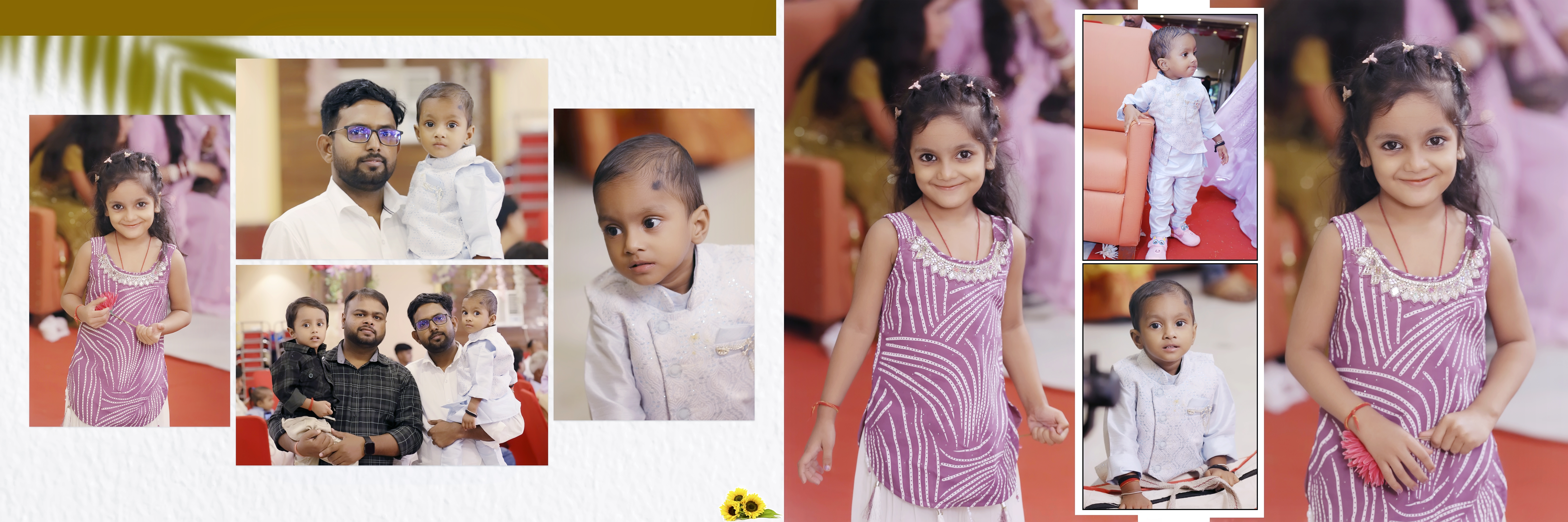 Rajat & Priya — Royal Wedding